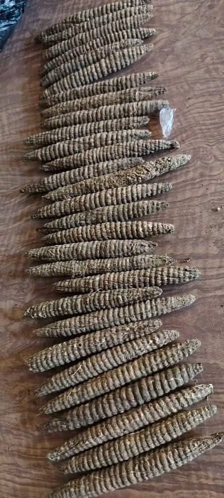 القبض على مروج للمخدرات في مستشفى الدويم