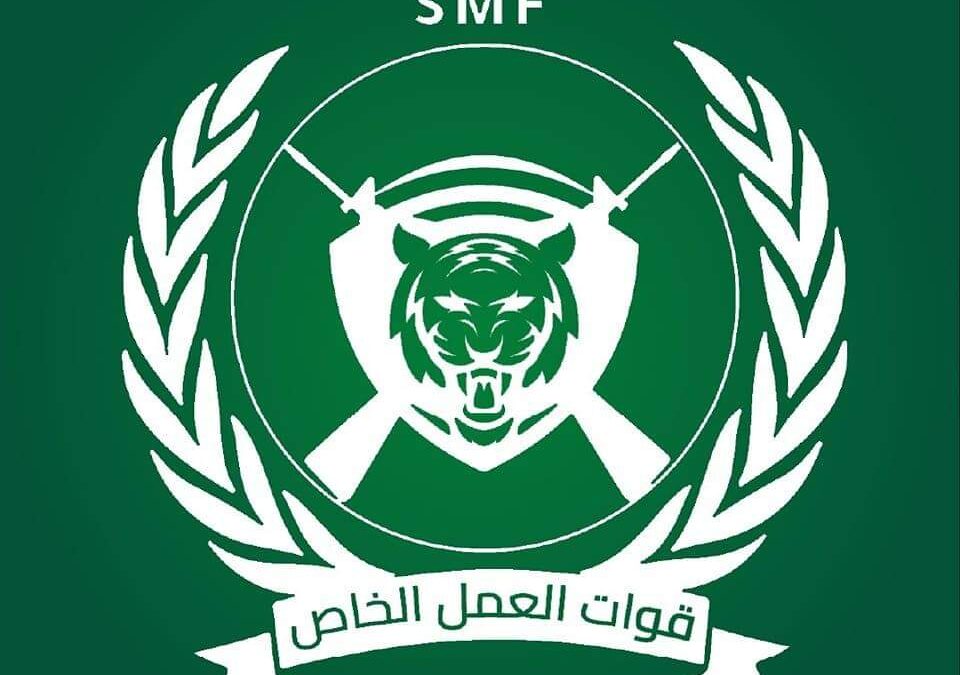 قوات العمل الخاص