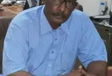 محمد وداعة