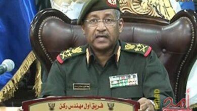 الفريق اول عماد عدوي