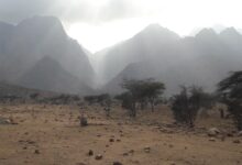 واحة الضباب المصرية: حكاية جنة خضراء وسط الصحراء