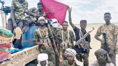 الجيش السوداني في سنار
