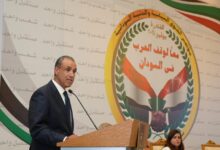 وزير الخارجية المصري في مؤتمر القوى السياسية السودانية
