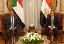 وزير الخارجية المصري يلتقي نظيره السوداني في القاهرة