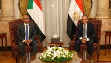 وزير الخارجية المصري يلتقي نظيره السوداني في القاهرة
