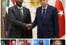 أردوغان عرض على البرهان التوسط بين الإمارات والسودان