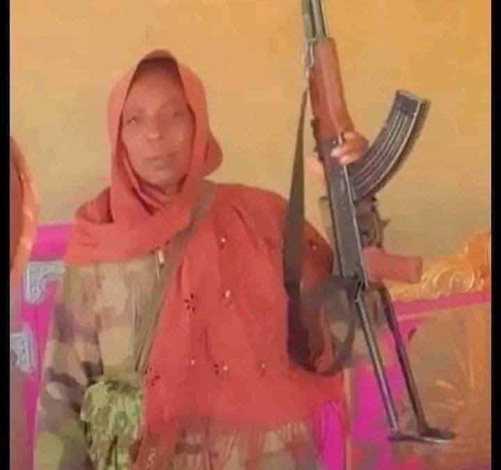 امونة شهيدة الفاشر