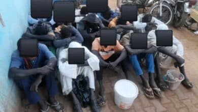 الشبكة الإجرامية المضبوطة