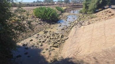 أزمة مياه حادة في الفاو