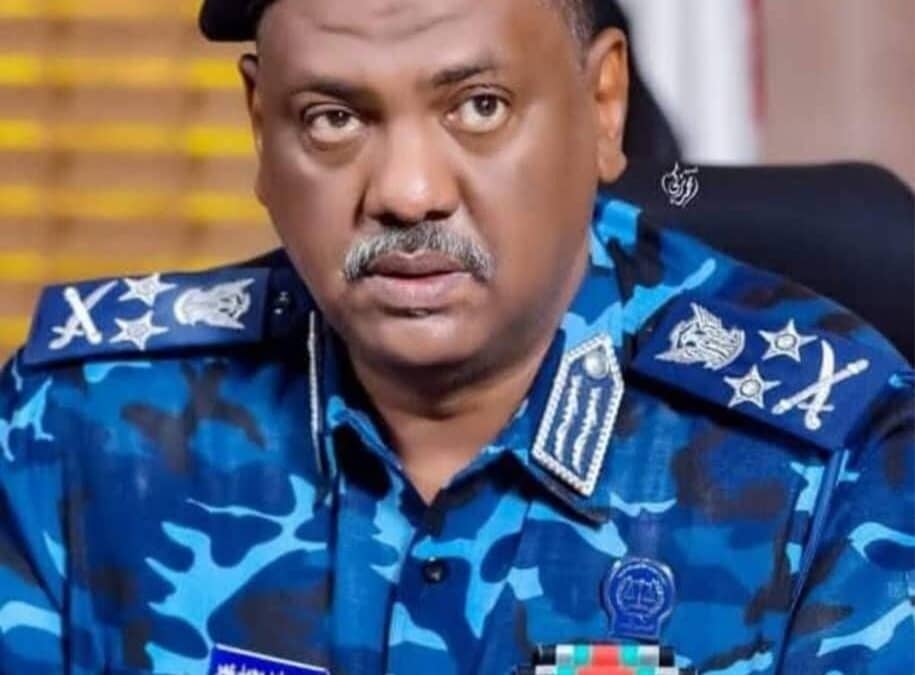 الفريق أول حامد عنان