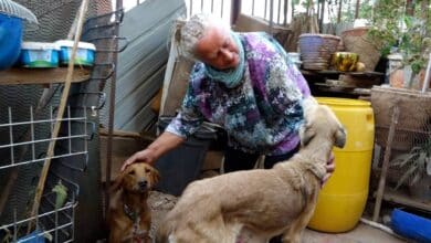 إمرأة ألمانية تتعرض لفظائع في أمدرمان