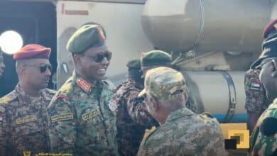 كباشي في المناقل