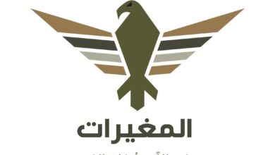 منظومة المغيرات