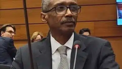 السفير حسن حامد، مندوب السودان الدائم لدى مكتب الأمم المتحدة