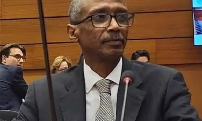 السفير حسن حامد، مندوب السودان الدائم لدى مكتب الأمم المتحدة