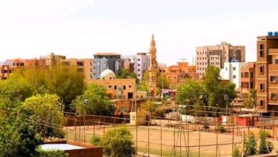 لجان مقاومة البراري