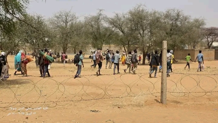 نزوح عكسي من معسكر زمزم إلى داخل مدينة الفاشر هربا من انتهاكات المليشيا