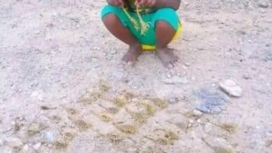 أطفال المناصير بين خطر العقارب وانعدام الأمصال.. نداءات استغاثة لوزارة الصحة وشركات الاتصالات