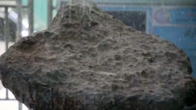 نيزك المناصير