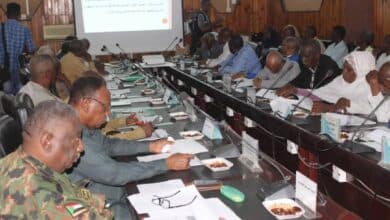 حكومة ولاية الجزيرة