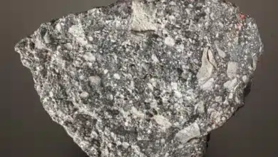 معرض الظواهر الطبيعية