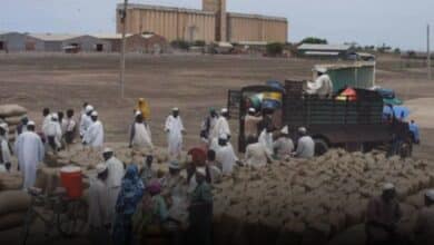 سوق المحاصيل