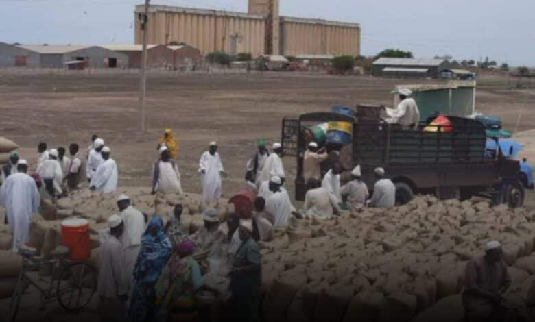 سوق المحاصيل