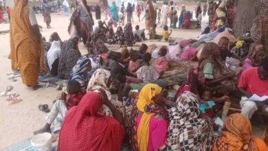 أم الفيض عبد الله جنوب كردفان