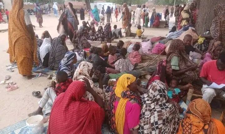 أم الفيض عبد الله جنوب كردفان