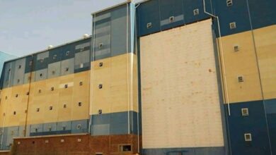 مطاحن روتانا