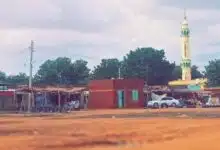 الدبيبات