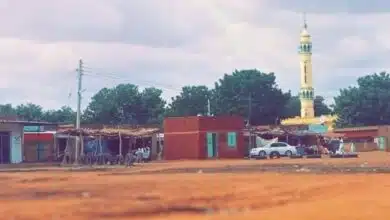 الدبيبات