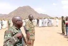 الاستنفار الشعبي