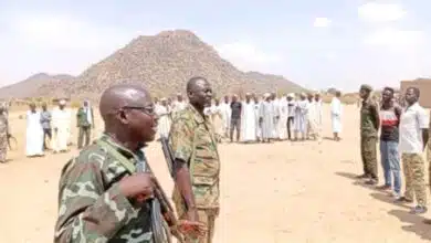 الاستنفار الشعبي