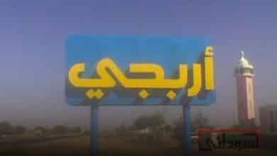 مدينة اربجي