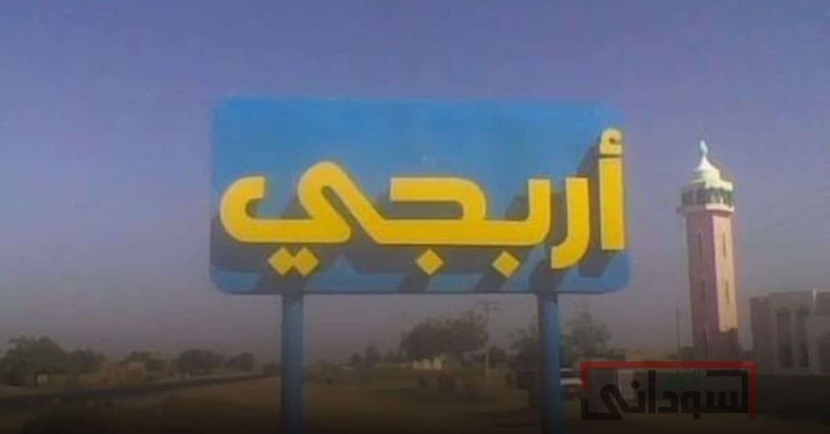 مدينة اربجي