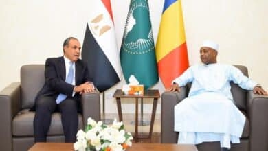 وزيرا خارجية مصر وتشاد