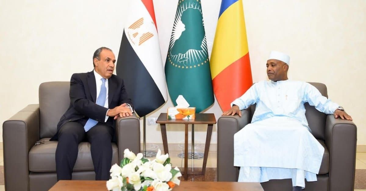 وزيرا خارجية مصر وتشاد