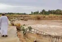 تحولت أمطار نهر النيل الغزيرة إلى كارثة إنسانية بعدما جرفت السيول في ساعات قليلة بيوتاً مستقرة إلى ركام، وخلفت وراءها مشاهد مأساوية من وفيات وإصابات وخسائر فادحة في الممتلكات.
