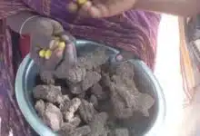 وسط حصار خانق وجوع قاتل، رحلت مساء أمس أسرة كاملة بمعسكر نيفاشا شمال مدينة الفاشر، بعد تسمم جماعي نتيجة تناول وجبة "الأمباز"، في فاجعة صادمة لم يعلم بها أحد في الوقت المناسب.