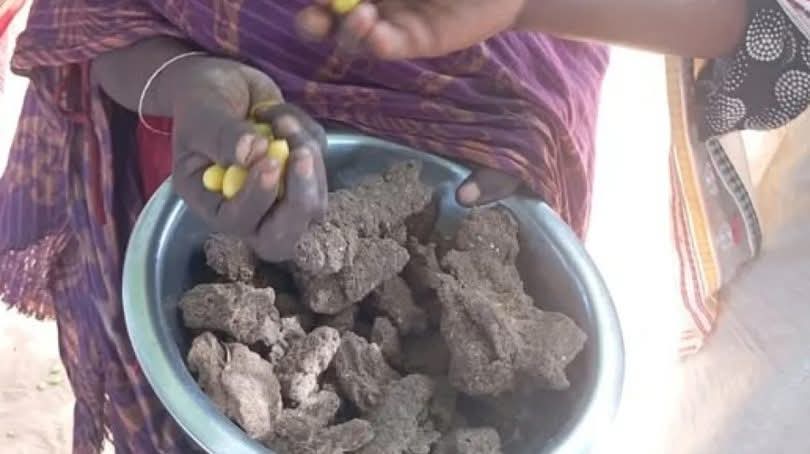 قال السفير حسين الأمين، وكيل وزارة الخارجية والتعاون الدولي، إن مدينة الفاشر حاضرة ولاية شمال دارفور قضت 501 يوماً تحت الحصار المتواصل