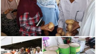 حملة مفاجئة على البطاطس المهربة في بورتسودان