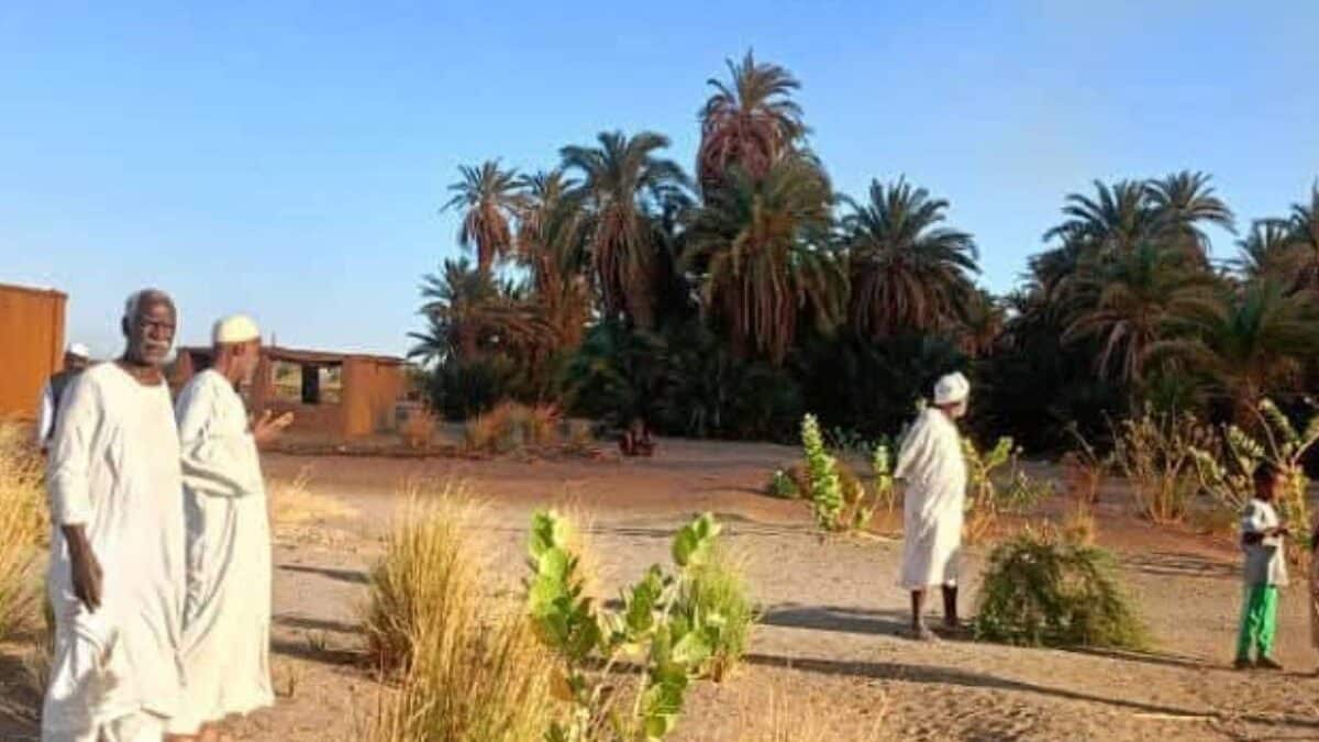 صواردة - صورة ارشيفية