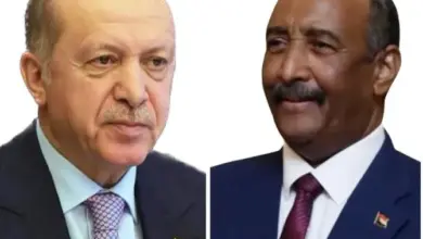 بعث الفريق أول الركن عبدالفتاح البرهان، رئيس مجلس السيادة الانتقالي والقائد العام للقوات المسلحة السودانية الأحد برقية تهنئة عاجلة إلى الرئيس التركي رجب طيب أردوغان بمناسبة "يوم النصر".