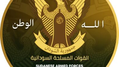 علنت الفرقة السادسة مشاة التابعة للجيش السوداني  بمدينة الفاشر بولاية شمال دارفور،   استشهاد 30 مواطنًا على الأقل من النساء والرجال والأطفال وكبار السن، وإصابة آخرين