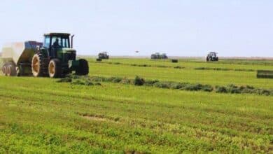 مشروع زراعي - صورة تعبيرية