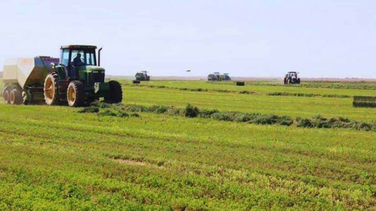 مشروع زراعي - صورة تعبيرية