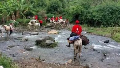 أرض تتشقق.. ماذا حل بأهل قرية ترسين؟