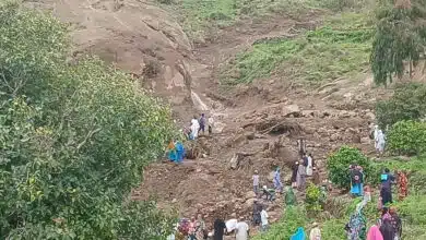 كشفت الهيئة العامة للأبحاث الجيولوجية، الذراع الفني لوزارة المعادن بالسودان، أسباب الانزلاق الأرضي المدمر الذي ضرب قرية ترسين في منطقة جبل مرة بولاية وسط دارفور، والذي خلف خسائر بشرية ومادية كبيرة