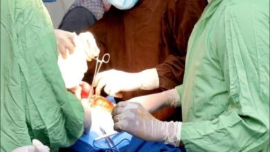 عاد مساء السبت إلى الدوحة الفريق الطبي الجراحي لرابطة الأطباء السودانيين بقطر، عقب ختام مخيم جراحة الكلى والمسالك البولية بمركز مدني لأمراض وجراحة الكلى، والذي شكّل إنجازاً نوعياً في تقديم الخدمات الصحية المتقدمة للمرضى من مختلف ولايات السودان